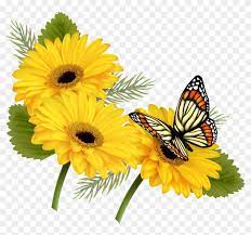 We did not find results for: Flower With Butterfly Png Clipart 380879 Pikpng