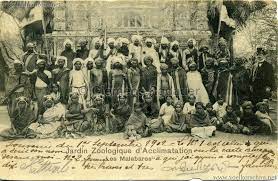 1902 les malabares jardin zoologique d acclimatation human zoo zoo zoo zoo