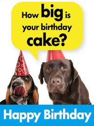 Want to wish your dear ones a dog's style? Dogs Love Your Birthday Cake Funny Birthday Card Birthday Greeting Cards By Davia