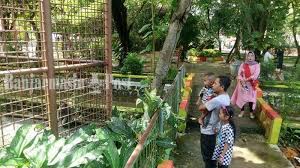 Foto tingkah lucu satwa kebun binatang praha saat akan dipindahkan 6 november 2020 13:03 wib. Ada Berbagai Satwa Yang Dilindungi Di Kebun Binatang Mini Banjarmasin Banjarmasin Post