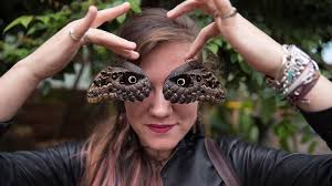 To Put You At Ease With Creepy-Crawlies, Entomologists Face Your Fears