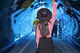 Travel Outfit Ideas Visiting Burj Khalifa And Dubai Aquarium Poses Aesthetic Aquarium Dubai Aquarium Portrait Dubai Aquarium Travel Ootd Travel Outfit