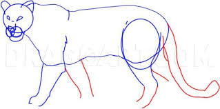 Maybe you would like to learn more about one of these? How To Draw A Leopard Step By Step Drawing Guide By Dawn Dragoart Com