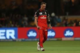 Want to discover art related to dalesteyn? More Wickets With Added Bonus Of That Trophy Dale Steyn Confident Rcb Will Win Ipl 2020 Cricket News India Tv