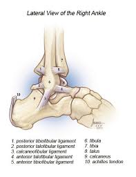 Ankle Pain Cleveland Clinic