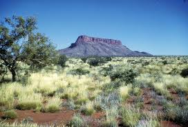 $840.00 / case of 12. Introduction To Rangeland Pastures In The Pilbara Western Australia Agriculture And Food