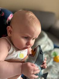 Introduction and investment discussion in a group