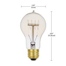 We did not find results for: Globe Electric Edison Incandescent Light Bulb 60 W Pack Of 3 31325 Rona