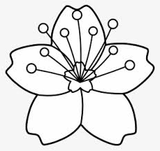 We did not find results for: Flower Line Png Download Transparent Flower Line Png Images For Free Nicepng