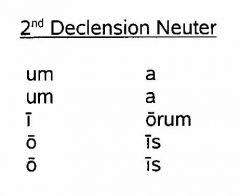 Latin Noun Declensions Foreign Language Flashcards Cram Com