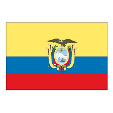 Me parece interesante aprender de cada pais palabras que en. Ecuador Flag International Flags Display Sales