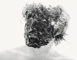 See also on bored panda. Christoffer Relander On Behance