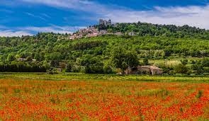 It had a population of 559,016 as of 2016. Lacoste Vaucluse Provence Frankreich Foto Bild Mohnfeld Wiese Feld Bilder Auf Fotocommunity