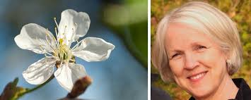 Nevropsykologi Aust-agder