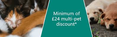 Navigating your company's insurance benefits can be a tricky task. Multi Pet Insurance Discounted Cover Argos Pet Insurance