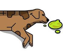 While Most Dogs Throw Up From Time To Time Some Dogs Vomit Repeatedly Over An Extended Period Dog Throwing Up Throwing Up Bile Throwing Up