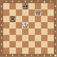 The problem at this point is that you probably do not know yet how to checkmate with a king and a queen against a sole king. Queen Vs Rook Endgame The Chess Website