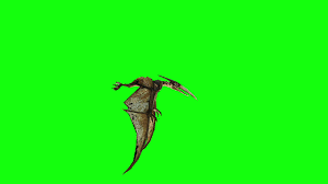 Pterodactyl Fly 3d Animation Dinosaur Green Screen 4k Footage Stock Footage Ad Animation Dinosaur Fly Pterodactyl 3d Animation Animation Greenscreen