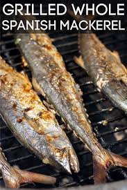 Grilled Whole Spanish Mackerel In Less Than 20 Minutes Recipe Spanish Mackerel Recipe Grilled Spanish Mackerel Mackerel Recipes