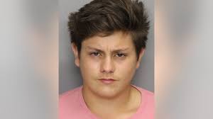 21-year-old charged with deadly I-75 hit and run