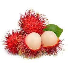 No: 1 Tropical Fruit Plant Nursery in Asia | Homegrown Biotech