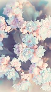 A collection of the top 47 cute aesthetic wallpapers and backgrounds available for download for free. Floral Wallpapers For Iphone And Android Click The Link Below To Get The Latest Tech News An Pink Flowers Wallpaper Flower Wallpaper Spring Wallpaper