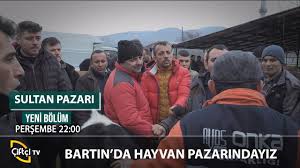 Bartin Buyukbas Hayvan Pazari Sultan Pazari Buyukbas Hayvancilik Besici Youtube