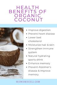 Less dandruff (and a happier scalp) 8 Stunning Health Benefits Of Coconuts Mu Mu Muesli