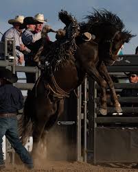 Lucas Macza // Silks and Spurs Xtreme Broncs 2024