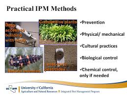 Using ipm in your building. Ipm And Pesticides In Homes Gardens And Landscapes Ppt Download