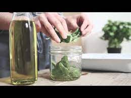 Jar, basil, salt, olive oil. Simple Solutions How To Preserve Fresh Basil Youtube