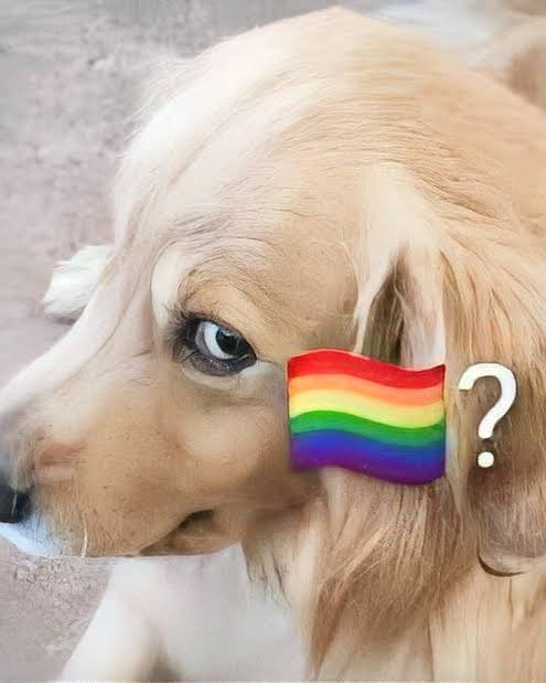 images?q=tbn:ANd9GcSrs75vFKU7JZA6QkFGKiL