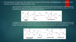 Pyruvate - Definition And Examples - Biology Online Dictionary