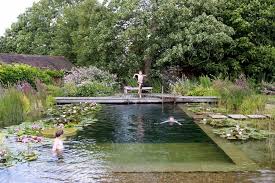 Water World A Natural Swimming Pool Lily Pads Included Schwimmteich Naturschwimmbecken Und Im Freien