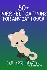 The internet loves cats, and it loves stupid humor. 50 Hiss Terically Purr Fect Cat Puns For Any Cat Lover Cat Puns Puns Funny Cat Jokes