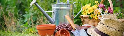 We did not find results for: Gardening Supplies Uk Online Garden Supplies Webbs