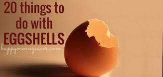 20 Things To Do With Eggshells - Happy Money Saver