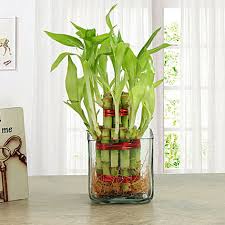Egift cards, or virtual gift cards make giving a last minute gift easier than ever. Online Gifts Delivery Send Gifts To India Buy Gifts Online Ferns N Petals