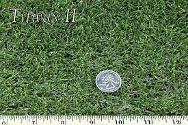 Bermuda grass is a short mat like variety that creeps along the ground and this makes the blend perfect for high traffic areas where the grass would receive a lot of wear and tear such as sports fields and golf courses. West Coast Turf Tifway Ii Hybrid Berdmudagrass In Socal