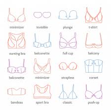 How To Measure Bra Size Bra Size Chart Bra Cup Size