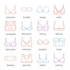 how to measure bra size bra size chart bra cup size