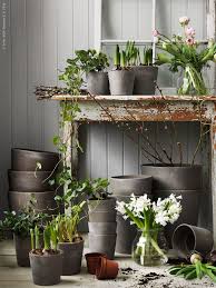 Planteringstider Redaktionen Inspiration Fran Ikea Ikea Plantera Om Krukor