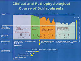 Schizophrenia is a psychiatric disorder characterized by continuous or relapsing episodes of psychosis. Clinical And Pathophysiologic Course Of Schizophrenia This Diagram Download Scientific Diagram