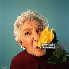 151,306 Rose Day Stock Photos, High-Res Pictures, and Images