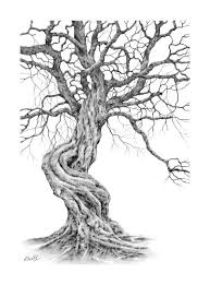 Artistic Black And White Tree Drawings Twisted Tree Pencil Drawing By Kevin Williamson Tree Drawings Pencil Tree Drawing Tree Artwork