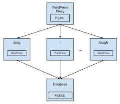 However, both clearly use direct access to the . Brute Force Docker Wordpress Nginx Proxy Demo Libertyseeds Ca