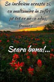 Somn uşor şi pufos imagini,poze. 100 BunÄƒ Seara Ideas Citate Frumoase FelicitÄƒri Citate