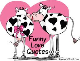 Funny Love Quotes For Him To Like You Quotesgram