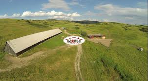 Un hectar de teren se vinde cu până la 30.000 de euro. Vand 36 Ha Teren Agricol In Ocna Sibiului Id 4361