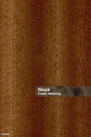 Image result for Lovoa